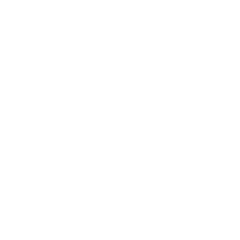 Raw Fury logo
